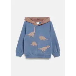 Sweatshirt mit Kapuze Dinos