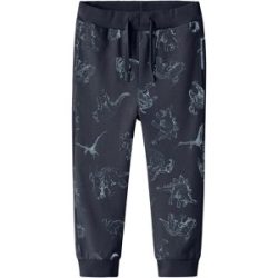Jogginghose Dinos