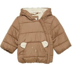 Steppjacke Bär