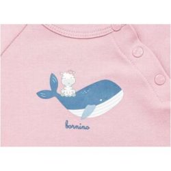 Raglanshirt langarm Wal