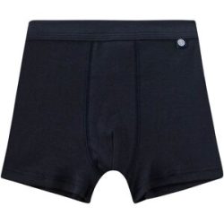 3er-Pack Boxershorts Fahrzeuge