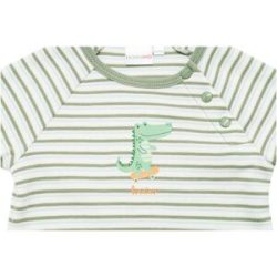 Raglanshirt langarm