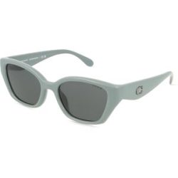 Luxottica Fashion Brillen Vertriebs GmbH Coach 0HC8434U CBY91 Damen-Sonnenbrille Vollrand Geometrisch Kunststoff-Gestell, Grau