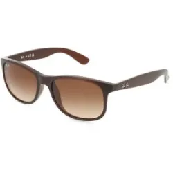 Ray Ban Rb4202 6073/13 55 Andy | Sonnenbrillen