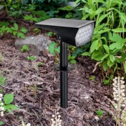 Prios LED-Solarstrahler Helier, 49 cm, schwarz, Erdspieß Helier PRIOS, schwarz, Kunststoff, Modern, Solarleuchten