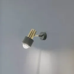 Wandstrahler Destin, einflammig grün/messing Destin Euluna, dimmbar, grün, für Wohn- / Esszimmer, Metall, Modern, Strahler