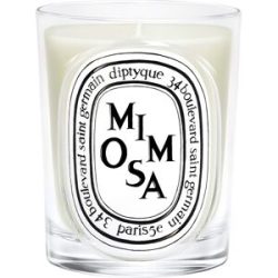 diptyque Mimosa Classic Candle 190 g