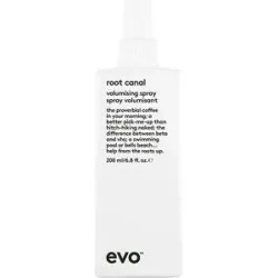 Evo Hair Volume Root Canal Volumising Spray 200 ml
