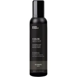 basler Color Mousse Schwarz, Aerosoldose 200 ml