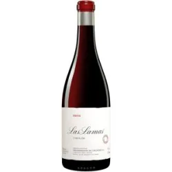Descendientes de J. Palacios Palacios Bierzo »Las Lamas« 2021 13.5% Vol. Rotwein Trocken aus Spanien