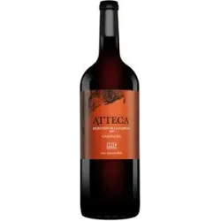 Gil Family Estate - Ateca Atteca Garnacha Selección de la Familia - 1,5 L. Magnum 2020 14.5% Vol. Rotwein Trocken aus Spanien