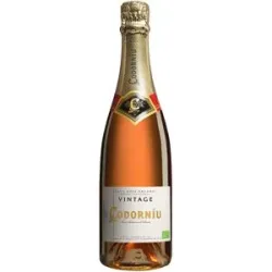 Codorníu Cava Vintage Rosado Brut 11.5% Vol. Trocken aus Spanien