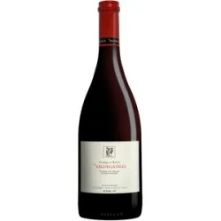 Dominio de Atauta »Valdegatiles« 2018 15% Vol. Rotwein Trocken aus Spanien