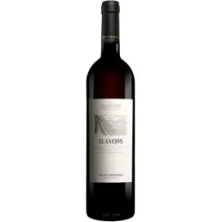 Pago de Carraovejas »El Anejón« 2021 15% Vol. Rotwein Trocken aus Spanien