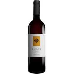 Enate Cabernet Sauvignon  Reserva 2019 14% Vol. Rotwein Trocken aus Spanien