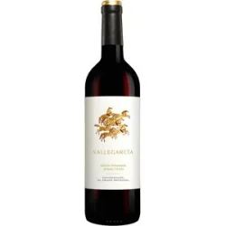 Pago de Vallegarcía Vallegarcía Edición Aniversario 2024 13.5% Vol. Rotwein Trocken aus Spanien