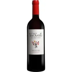 Val Sotillo - Ismael Arroyo Val Sotillo »Finca Buenavista« 2020 14.5% Vol. Rotwein Trocken aus Spanien