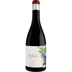 Descendientes de J. Palacios Palacios Bierzo »Pétalos« 2023 13% Vol. Rotwein Trocken aus Spanien