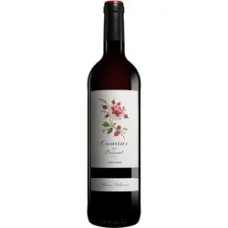 Álvaro Palacios Palacios Priorat »Camins del Priorat« 2024 14.5% Vol. Rotwein Trocken aus Spanien