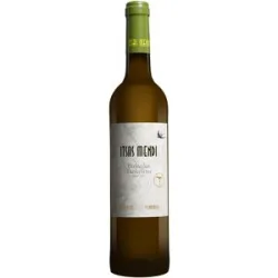 Itsas Mendi Bizkaiko Txakoli 2025 12.5% Vol. Trocken aus Spanien