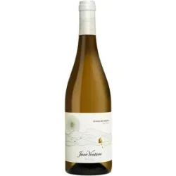 Jané Ventura Blanc 2025 12% Vol. Trocken aus Spanien