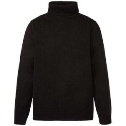bonprix Rollkragenpullover mit Rollkragen, mit Rippbündchen, Regular Fit