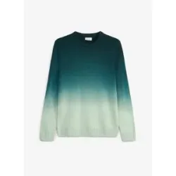 bonprix Feinstrickpullover in Regular-Fitgrün 48Herren