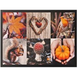 bonprix Waschbare Fußmatte mit herbstlichen Motivenbunt 2 (60/80 cm)false