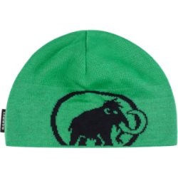 Mammut Klassische Strickmütze mit Fleecefutter Tweak Beanie Grün one size