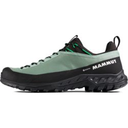 Mammut Wasserdichter Zustiegsschuh Alnasca IV Low GTX Men Grau 46