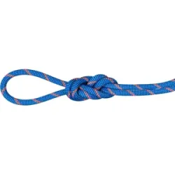 Mammut Doppelseil für Bergsteigen, Eis- und Tradklettern 7.5 Alpine Sender Dry Rope Blau 70 m