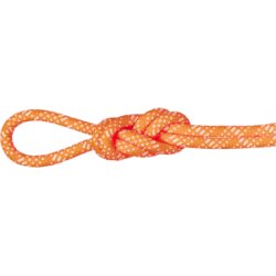 Mammut Langlebiges Kletterseil für die Halle 10.1 Gym Station Classic Rope 200m Orange 200 m