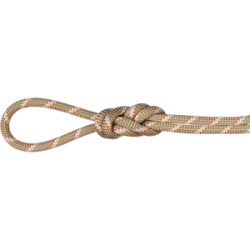 Mammut Vielseitiges Seil für Multipitch-Routen 8.0 Alpine Classic Rope 50m Grün 50 m