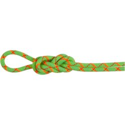 Mammut Imprägniertes, dynamisches Doppelseil mit hoher Schnittfestigkeit 8.0 Alpine Core Protect Dry Rope 70m Gelb 70 m