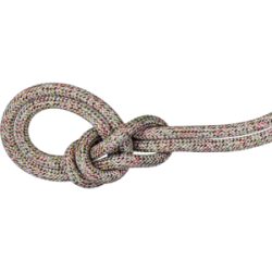 Mammut Imprägniertes, dynamisches Doppelseil mit hoher Schnittfestigkeit 8.0 Alpine Core Protect Dry Rope 30m Miscellaneous 30 m