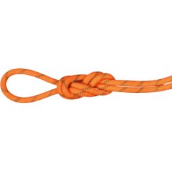 Mammut Doppelseil für Klettern und Bergsteigen 8.0 Alpine Dry Rope 70m Orange 70 m