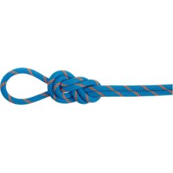 Mammut PFC-freies Doppelseil für alpines Klettern 8.0 Alpine Eco Dry Rope 70m Blau 70 m