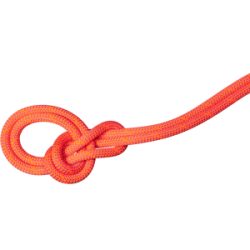 Mammut Robustes, multifunktionales Kletterseil 9.8 Crag Dry Rope 70m Orange 70 m
