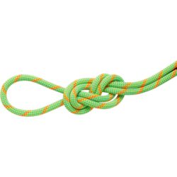 Mammut Doppelseil für Klettern und Bergsteigen 8.0 Alpine Dry Rope 30m Miscellaneous 30 m
