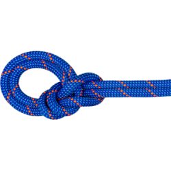 Mammut Einfachseil für Sport- und Tradklettern 9.5 Crag Dry Rope 50m Blau 50 m