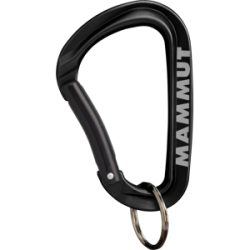 Mammut Zubehörkarabiner für Schlüssel und Ausrüstung Mini Carabiner Workhorse Keylock L Schwarz one size