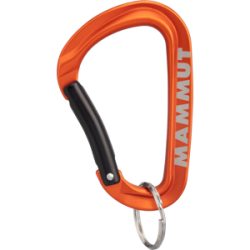 Mammut Zubehörkarabiner für Schlüssel und Ausrüstung Mini Carabiner Workhorse Keylock L Orange one size