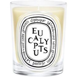diptyque Eucalyptus Classic Candle 190 g
