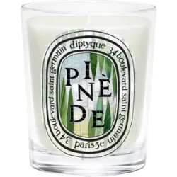 190g diptyque Pinède Classic Candle