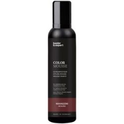 basler Color Mousse Mahagoni, Aerosoldose 200 ml
