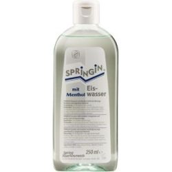 Spring Eiswasser mit Menthol 250 ml