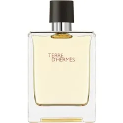 100ml HERMÈS Terre d?Hermès Eau de Toilette