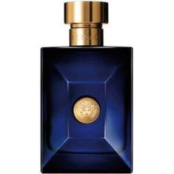 Versace Dylan Blue Eau de Toilette 100 ml