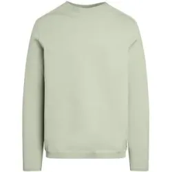 ALPHATAURI Pullover FRASBOURG hellgrün   M Herren