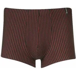 SCHIESSER Pants LONG LIFE SOFT rot rot   XXL herren